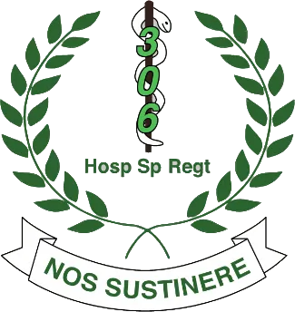 The 306 Hospital Support Regiment badge, with the motto Nos Sustinere